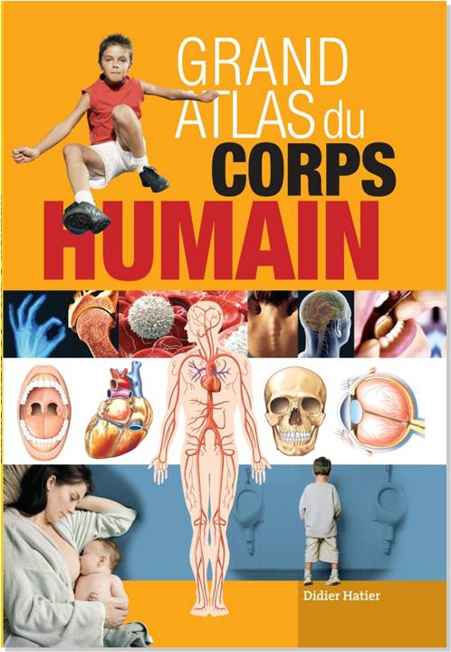 Résultat de recherche d'images pour "atlas du corps humain"